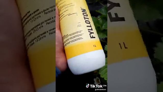 Как вывести растение из стресса? Fylloton отлично с этим справился. Испытал на клубнике. смотреть онлайн