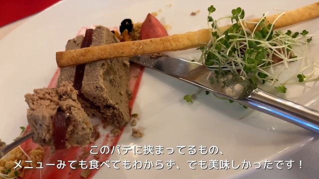 【ホーチミンディナークルーズ🇻🇳】夜景と船旅で非日常体験 / ベトナムvlog/ ホーチミン観光 смотреть онлайн