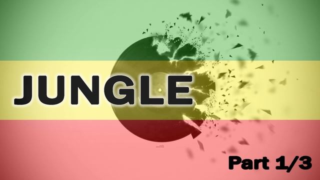Mix #6 Jungle 1/3 - BNL / JunJan