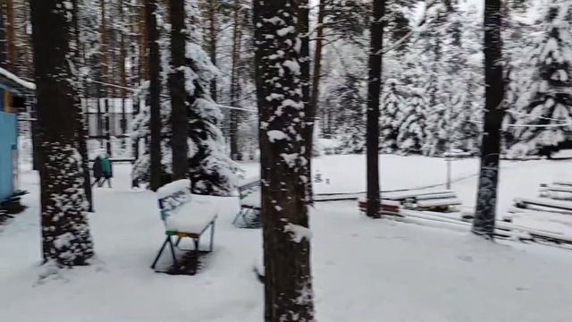 Детский оздоровительный лагерь 