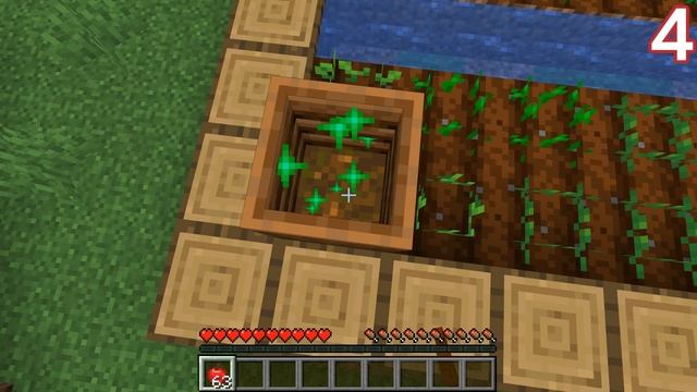 6 เรื่องน่ารู้เกี่ยวกับ แอปเปิล (Apples) ในเกม Minecraft смотреть онлайн