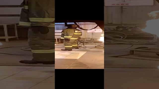VID-20230315-WA0008 смотреть онлайн