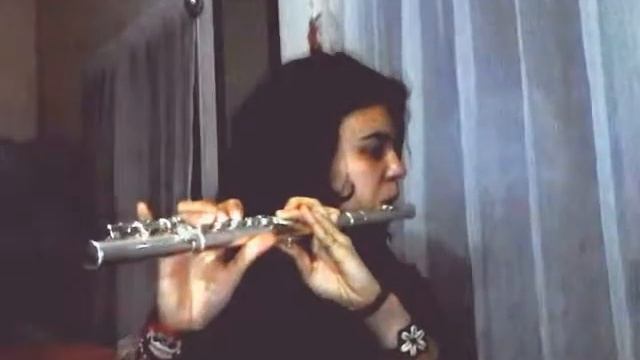 The Godfather(El Padrino) Traverse Flute Cover (Flauta traversa) смотреть онлайн
