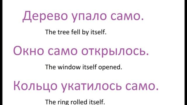 № 79 Русская грамматика САМ, САМА, САМО, САМИ смотреть онлайн
