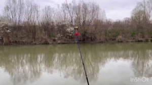 Рыбалка в краснодарском крае.Канал Шапарской.