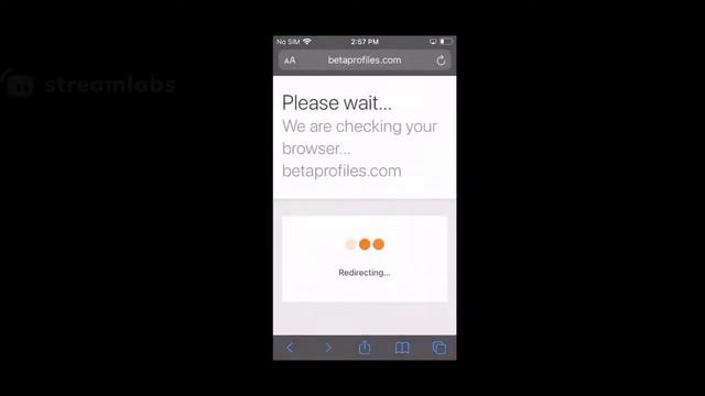 Hunting for iOS 15 Beta 1 смотреть онлайн