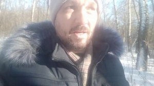 Мухомор как заместитель алкоголя