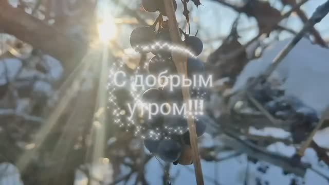 С добрым утром!!! смотреть онлайн