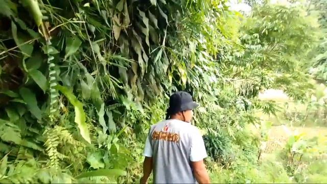 Ceu Emi Dan Kang Ivan Gunawan Mau Ke Sawah Dalam Rangka Mandi Lumpur Seru sekali смотреть онлайн