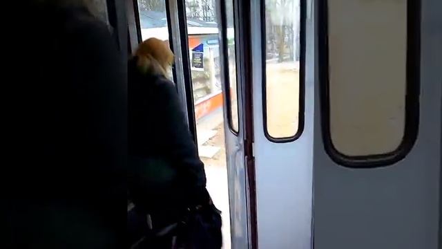 Очень скрипучие двери в рижском трамвае смотреть онлайн