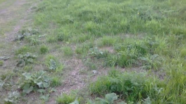 +Вызов Духов+ | Смеющийся Джек (1.На улице.2.Что за фигня?!) смотреть онлайн