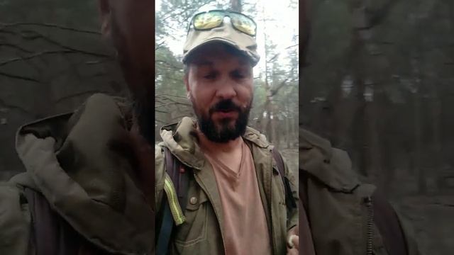 Собираю мухоморы летом для себя. смотреть онлайн