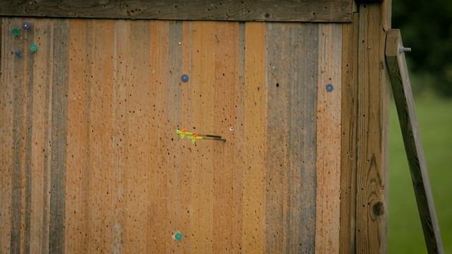 Best Hunting Bow On A Budget: 5 Bow Shootout