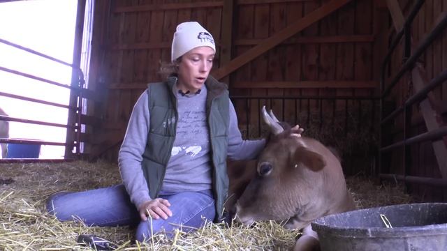 Fawn's Amazing Recovery смотреть онлайн