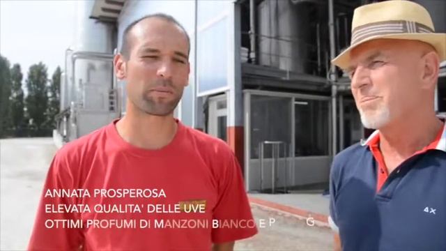 LA NOSTRA CANTINA E' GREEN PERCHE' | LA VENDEMMIA 2018 - QUALITA E ANNATA смотреть онлайн