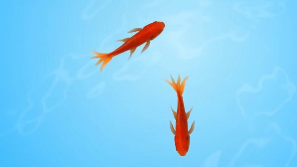 Игровое видео для кошек и котов, 1. Рыбки, короткая версия. Не для просмотра людьми!