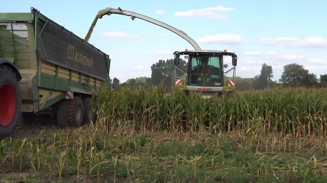 *NEW* Claas jaguar 990 XXL | Jumpers | 12 Row | Fendt | *sound * смотреть онлайн