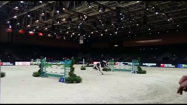 Utah van de Rock - Marc Dilasser - Prix Fonds Éperons 1.45m - CSI 2* Lyon 2016 смотреть онлайн