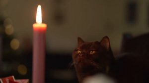 Настройка на новый счастливый дом Установи себе ЗАЩИТУ - просто смотри 🙏 #Колена