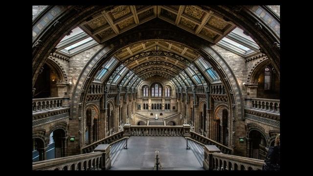 09 - Museum of Natural History - Travel Photography A Photographers Guide to London смотреть онлайн