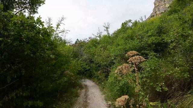 Кисловодск. Интересный пеший маршрут. Каньон на въезде, пещера Монаха и родник. 4K 30fps. смотреть онлайн