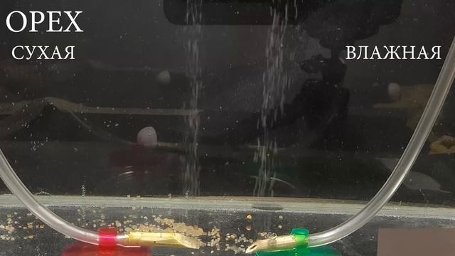 СРАВНИВАЕМ 40 РАЗНЫХ ДИФФУЗОРОВ.  САМЫЙ ЛУЧШИЙ ДИФФУЗОР. THE BEST DIFUSER CO2