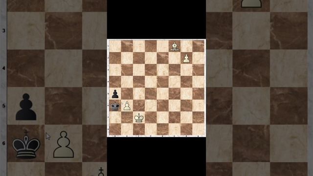 Хитрая шахматная задача смотреть онлайн
