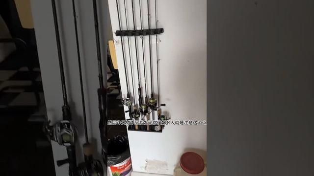 實現扇貝自由，螳螂蝦1拳錘開，貪心章魚直接吃5隻【王小怪】 смотреть онлайн