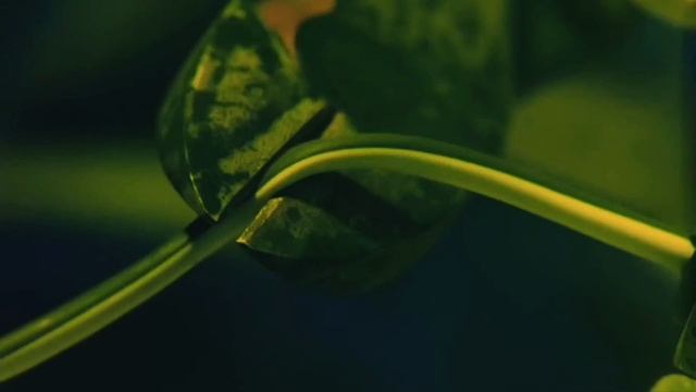 1000010260.mp4 смотреть онлайн