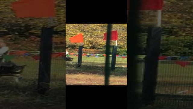 ВЕО Валентлайф Фуджиминори - Соревнования на Варяге 12.10.2024 - Рядом