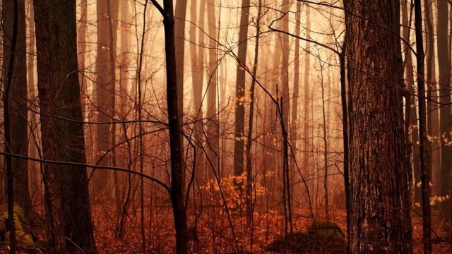 Drumfunk Mix Vol. 11