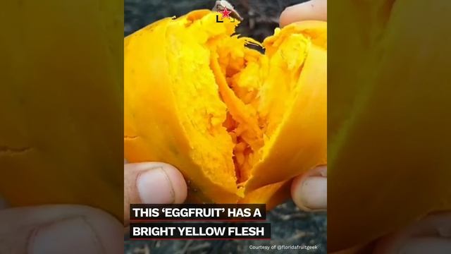 8 strange fruits to discover and try | Fine Dining Lovers смотреть онлайн