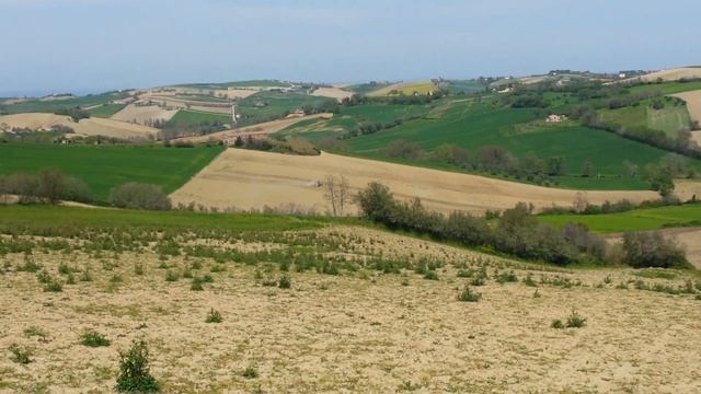 Nonno pazzo alla riscossa смотреть онлайн