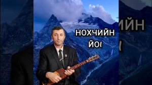 Нохчийн Йо1 илли Джамалай