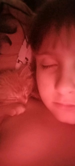 веду или 24на 7 весь месяц