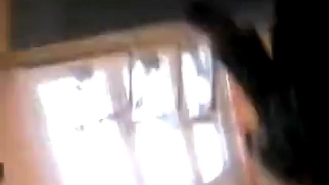 Морской Котик смотреть онлайн