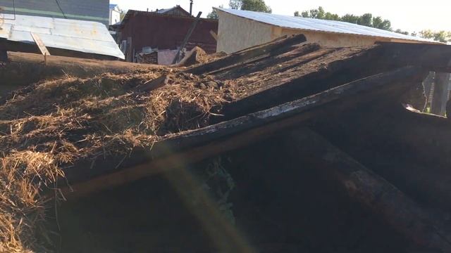 ДОКОПАЛИ КАРТОШКУ, РАЗОБРАЛ СРУБ. Выпуск # 8 /// Деревенька на Урале! смотреть онлайн