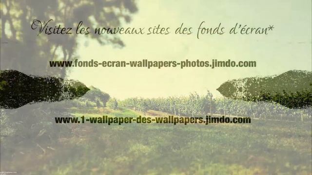 Plein de charme - Fonds d'écran wallpapers full hd 1920X1080 смотреть онлайн