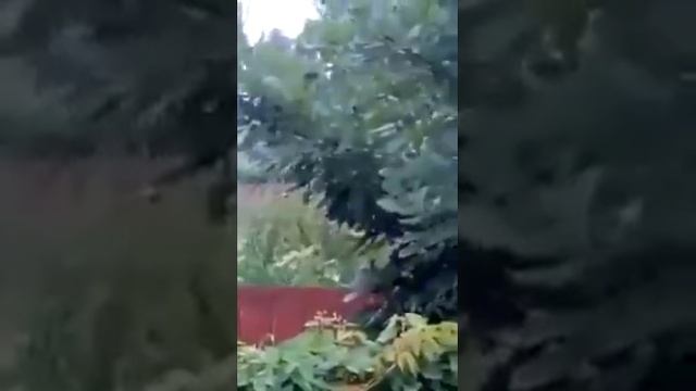 ОГРОМНАЯ Шаровая молния! ШОК!!!! смотреть онлайн