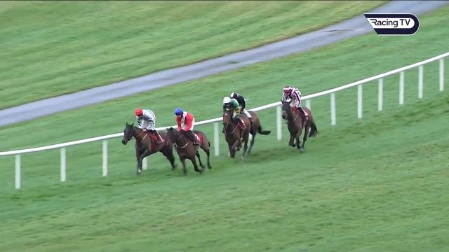 A bungle at the final flight cannot stop Slip Of The Tongue and Mark Walsh prevailing at Punchestow смотреть онлайн