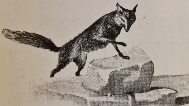 Русская народная сказка. «Как Зайцу, Волку и Медведю конец пришел». смотреть онлайн