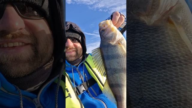 Мой первый окунь за полкила на реке Дон смотреть онлайн