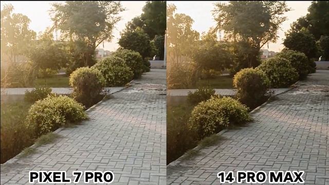 Google pixel 7 Pro Vs iPhone 14 Pro Max I Camera Test & Comparison смотреть онлайн