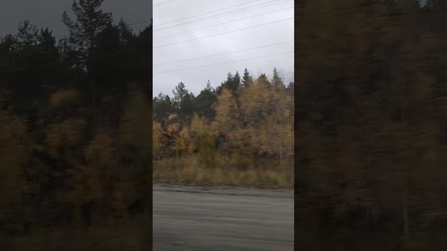 1000005933.mp4 смотреть онлайн