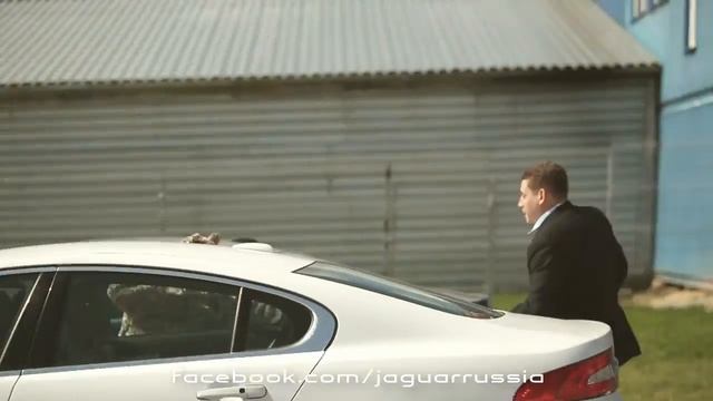 Fight club jaguar .mp4 смотреть онлайн
