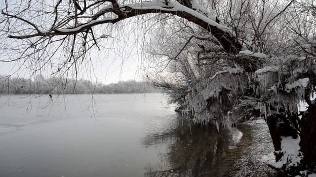 Зимние Бендеры. тест nikon d7000 смотреть онлайн