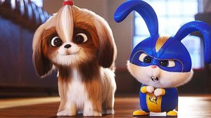 Тайная жизнь домашних животных 2 - The Secret Life of Pets 2