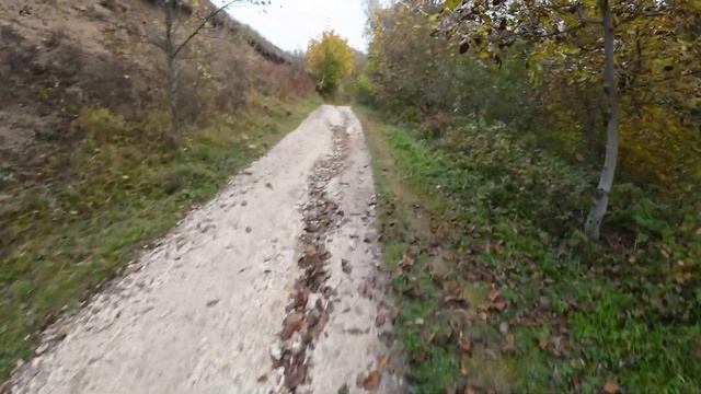 Кисловодск. Красота осеннего парка, утренняя прогулка на электровелосипеде 11 октября 2024 г. смотреть онлайн