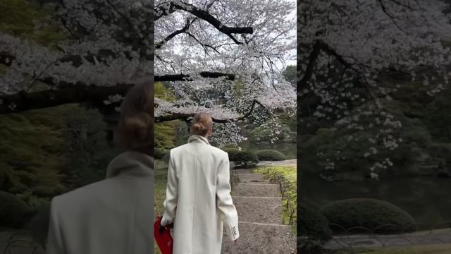 Не могу поверить, что вижу это своими глазами смотреть онлайн