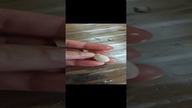 росток тыквы в тыкве
#растимтыкву #тыква